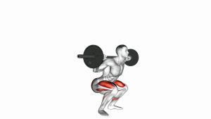 Read more about the article Barbell Full Squat
