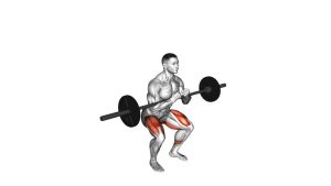 Read more about the article Barbell Full Zercher Squat