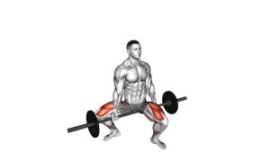 Read more about the article Barbell Jefferson Squat