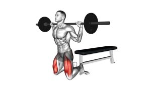 Read more about the article Barbell Kneeling Squat