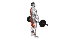 Read more about the article Barbell Stiff-Legged Deadlift