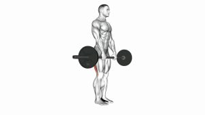Read more about the article Barbell Straight-Leg Deadlift
