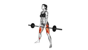 Read more about the article Barbell Sumo Deadlift