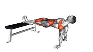 Read more about the article Bench Dip Hold
