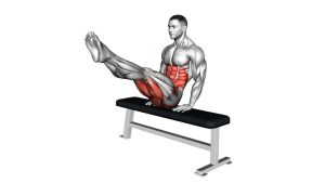 Read more about the article Seated Bench Reverse Crunch Circle