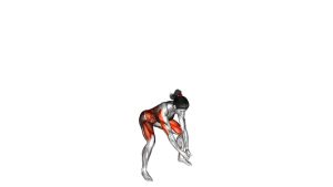 Read more about the article Bodyweight Front Slam