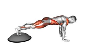Read more about the article BOSU Ball Mountain Climber