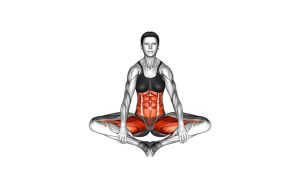Read more about the article Butterfly Twist