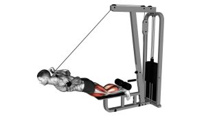 Read more about the article Cable-Assisted Inverse Leg Curl