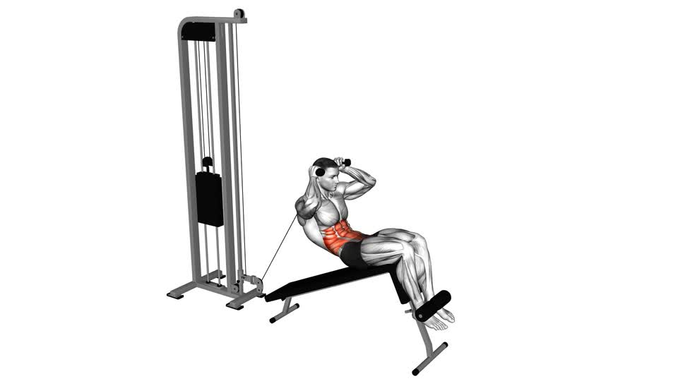 Mp Crunch Cable Decline Crunch - ManiacMuscle