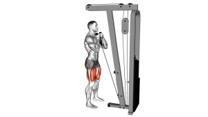 Read more about the article Cable Front Squat