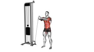 Read more about the article Cable Horizontal Pallof Press