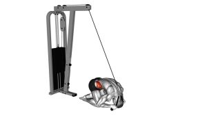 Read more about the article Cable Kneeling Crunch