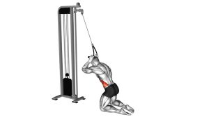 Read more about the article Cable Kneeling Side Crunch
