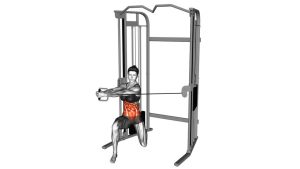 Read more about the article Cable Kneeling Twist