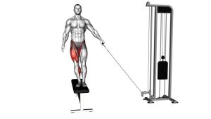 Read more about the article Cable Lateral Step-Up