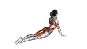 Read more about the article Cobra Side Ab Stretch