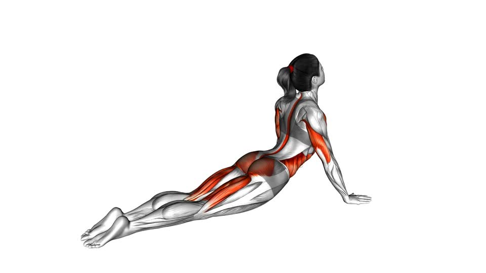 Cobra Side Ab Stretch - ManiacMuscle