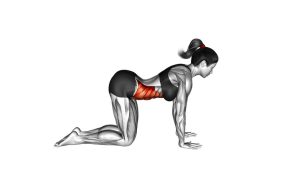 Read more about the article Cow Pose (Bitilasana)