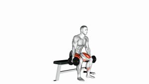 Read more about the article Dumbbell Bench Squat