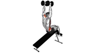 Read more about the article Dumbbell Decline Overhead Sit-Up
