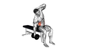 Read more about the article Dumbbell Seated Side Bend
