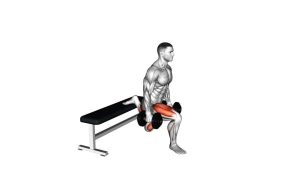 Read more about the article Dumbbell Bulgarian Split Squat