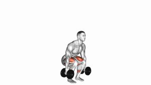 Read more about the article Dumbbell Squat