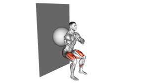 Read more about the article Stability Ball Wall Squat