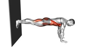 Read more about the article Front Plank Against Wall