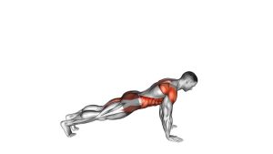 Read more about the article Front Plank to Side Plank