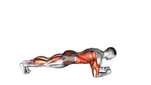 Read more about the article Front Plank with Arm and Leg Lift