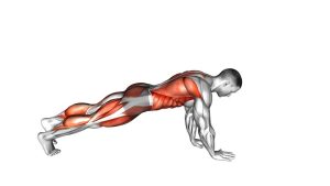 Read more about the article Front Plank with Arm and Leg Lift