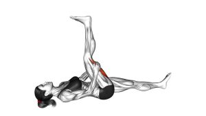 Read more about the article Supine Dynamic Assisted Hamstring Stretch