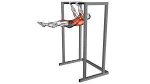 Read more about the article Hanging Front Lever Raise