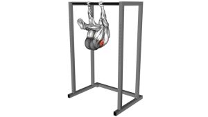 Read more about the article Hanging Knees to Elbows