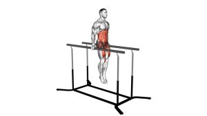 Read more about the article Hanging Oblique Knee Raise on Parallel Bars