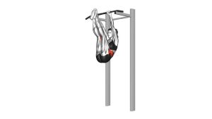 Read more about the article Hanging Straight Leg Hip Raise