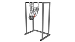 Read more about the article Hanging Toes-to-Bar