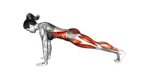 Read more about the article High Plank Knee Drop