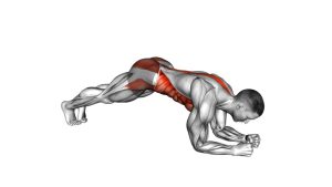 Read more about the article Hip Roll Plank