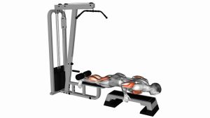 Read more about the article Inverse Leg Curl