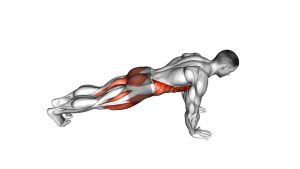 Read more about the article Knee To Elbow Touch Front Plank