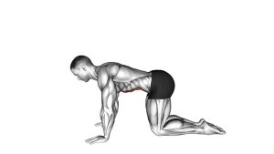Read more about the article Kneeling Abdominal Draw-In