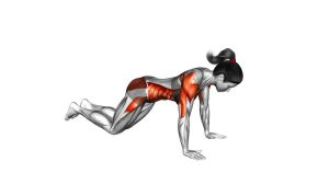 Read more about the article Kneeling Dynamic Plank