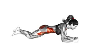 Read more about the article Kneeling Plank
