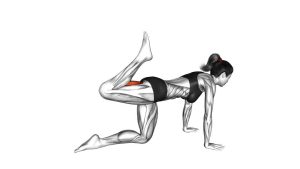 Read more about the article Bodyweight Kneeling Single-Leg Hamstring Curl