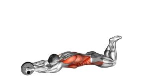 Read more about the article Kneeling Stay-Forward Ab Wheel Rollout