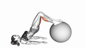 Read more about the article Stability Ball Leg Curl