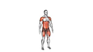 Read more about the article Standing Alternating Front Knee Kick